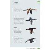 Veldgids Vogeltrek in beeld - Trekvogels herkennen aan hun vliegbeeld
