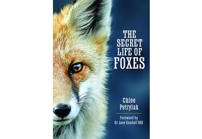 The Secret Life of Foxes