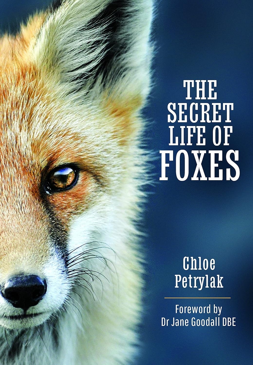 The Secret Life of Foxes