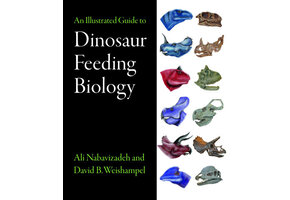 An Illustrated Guide to Dinosaur Feeding Biology