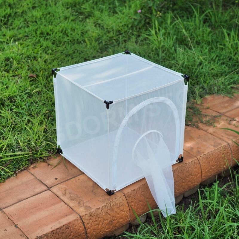 Bugdorm 4E4545 Zuchtkäfig