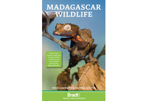 Bradt Wildlife Guide: Madagascar Wildlife