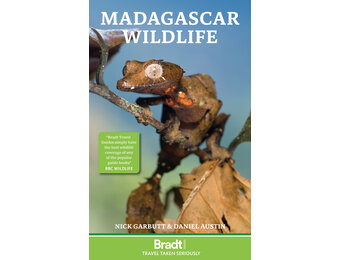 Bradt Wildlife Guide: Madagascar Wildlife
