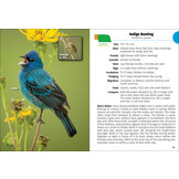 Birds of Nebraska Field Guide