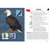 Birds of Nebraska Field Guide