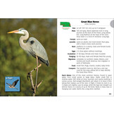 Birds of Nebraska Field Guide