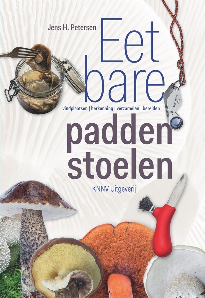 Eetbare paddenstoelen - vindplaatsen, herkenning, verzamelen en bereiden
