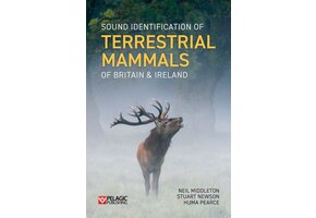 Sound Identification of Terrestrial Mammals of Britain & Ireland