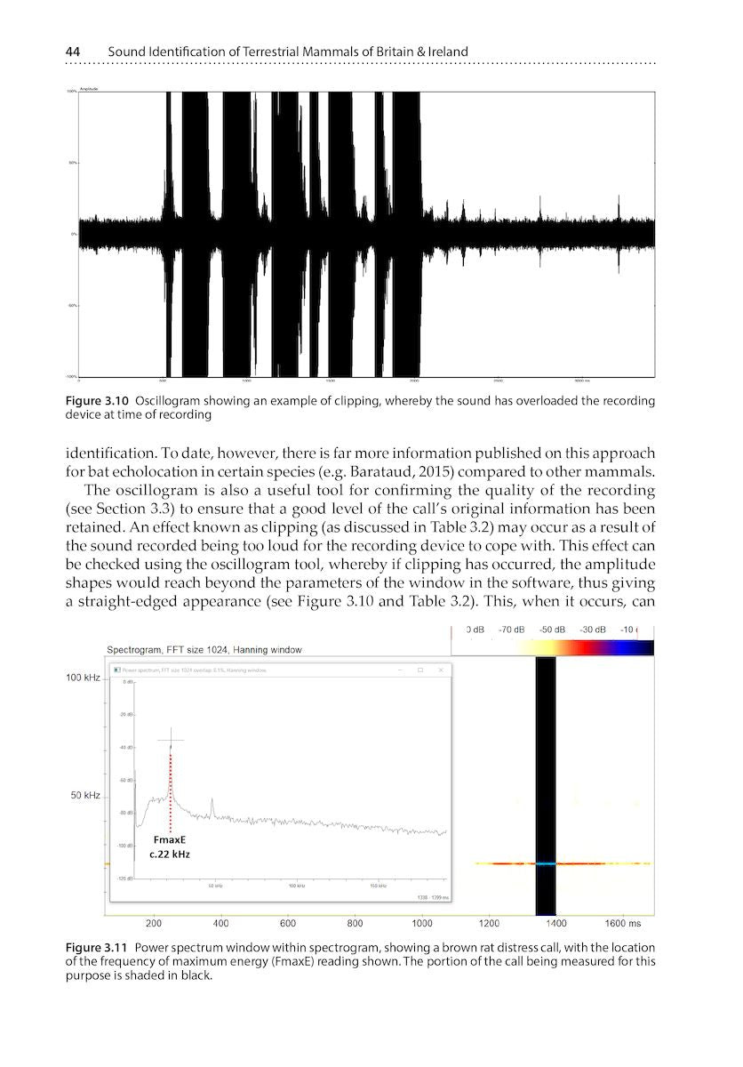 Sound Identification of Terrestrial Mammals of Britain & Ireland