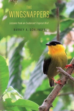 The Wingsnappers - Lessons from an Exuberant Tropical Bird