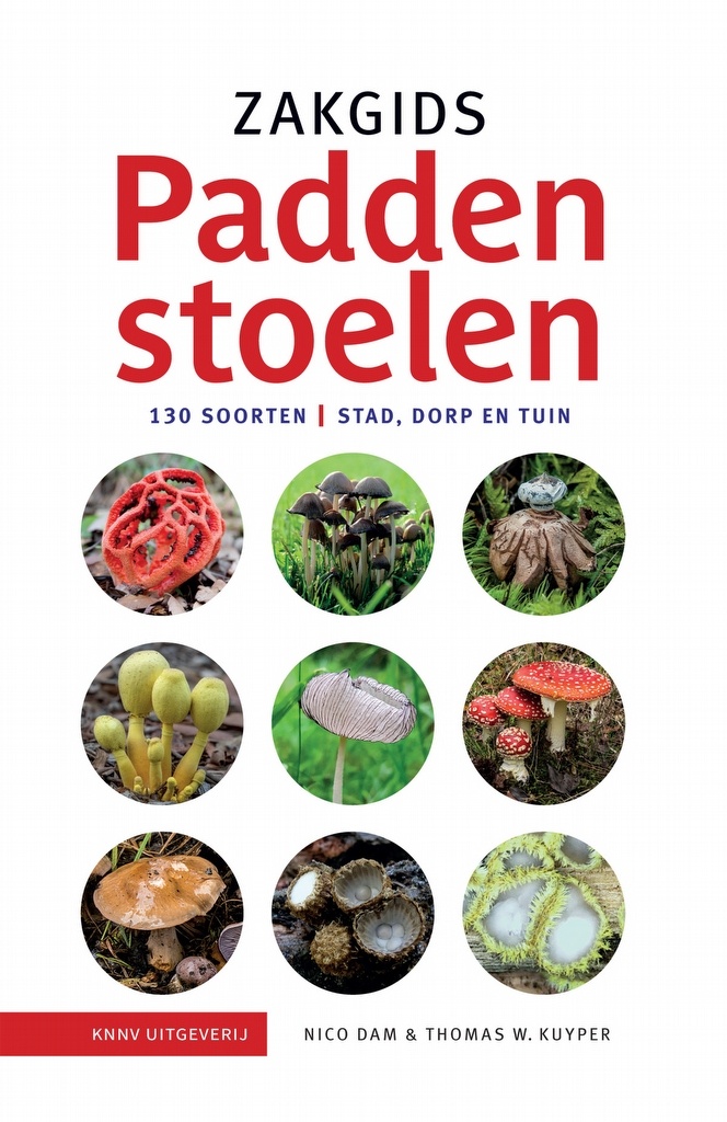 Zakgids Paddenstoelen - 130 soorten in stad, dorp en tuin