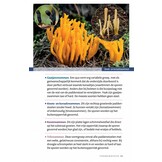 Zakgids Paddenstoelen - 130 soorten in stad, dorp en tuin