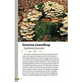 Zakgids Paddenstoelen - 130 soorten in stad, dorp en tuin