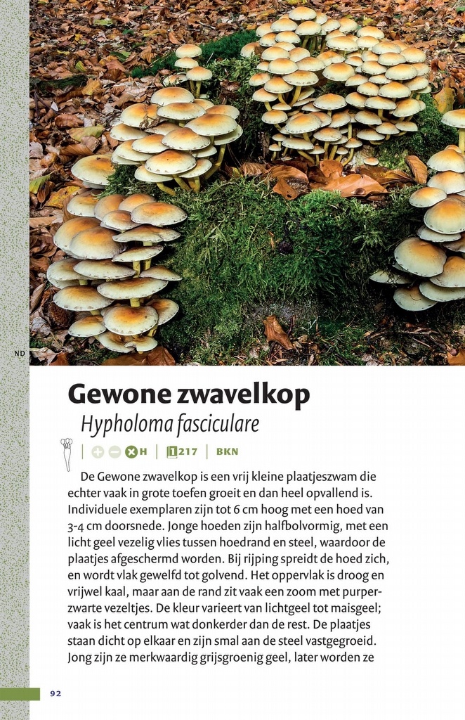 Zakgids Paddenstoelen - 130 soorten in stad, dorp en tuin