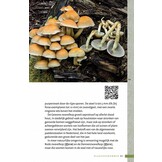 Zakgids Paddenstoelen - 130 soorten in stad, dorp en tuin