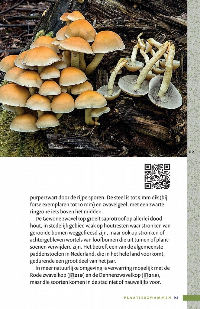 Zakgids Paddenstoelen - 130 soorten in stad, dorp en tuin