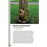 Zakgids Paddenstoelen - 130 soorten in stad, dorp en tuin