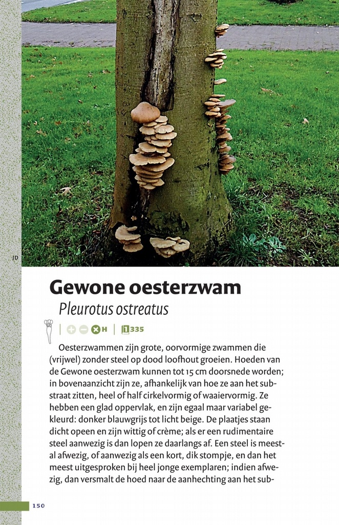 Zakgids Paddenstoelen - 130 soorten in stad, dorp en tuin