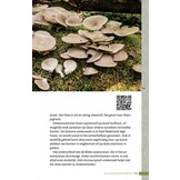 Zakgids Paddenstoelen - 130 soorten in stad, dorp en tuin
