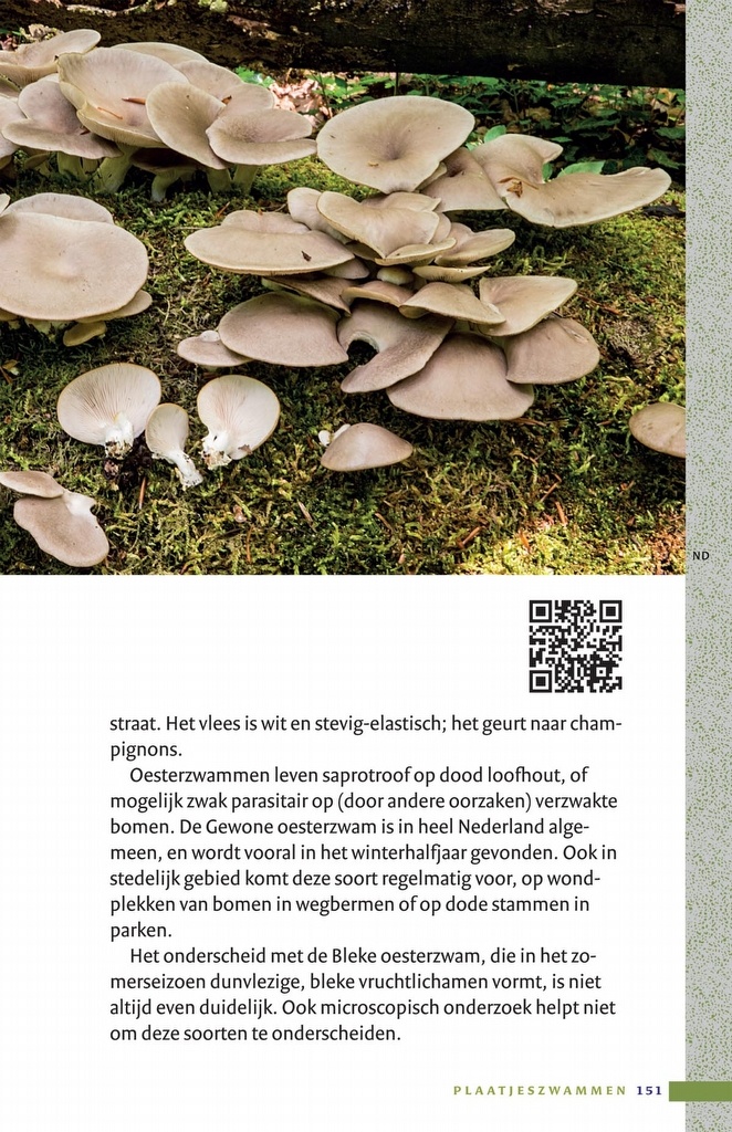 Zakgids Paddenstoelen - 130 soorten in stad, dorp en tuin