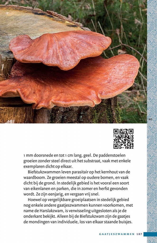 Zakgids Paddenstoelen - 130 soorten in stad, dorp en tuin