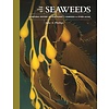 The Lives of Seaweeds