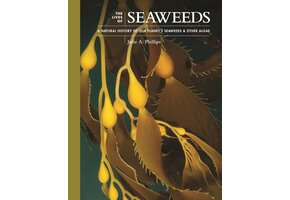 The Lives of Seaweeds