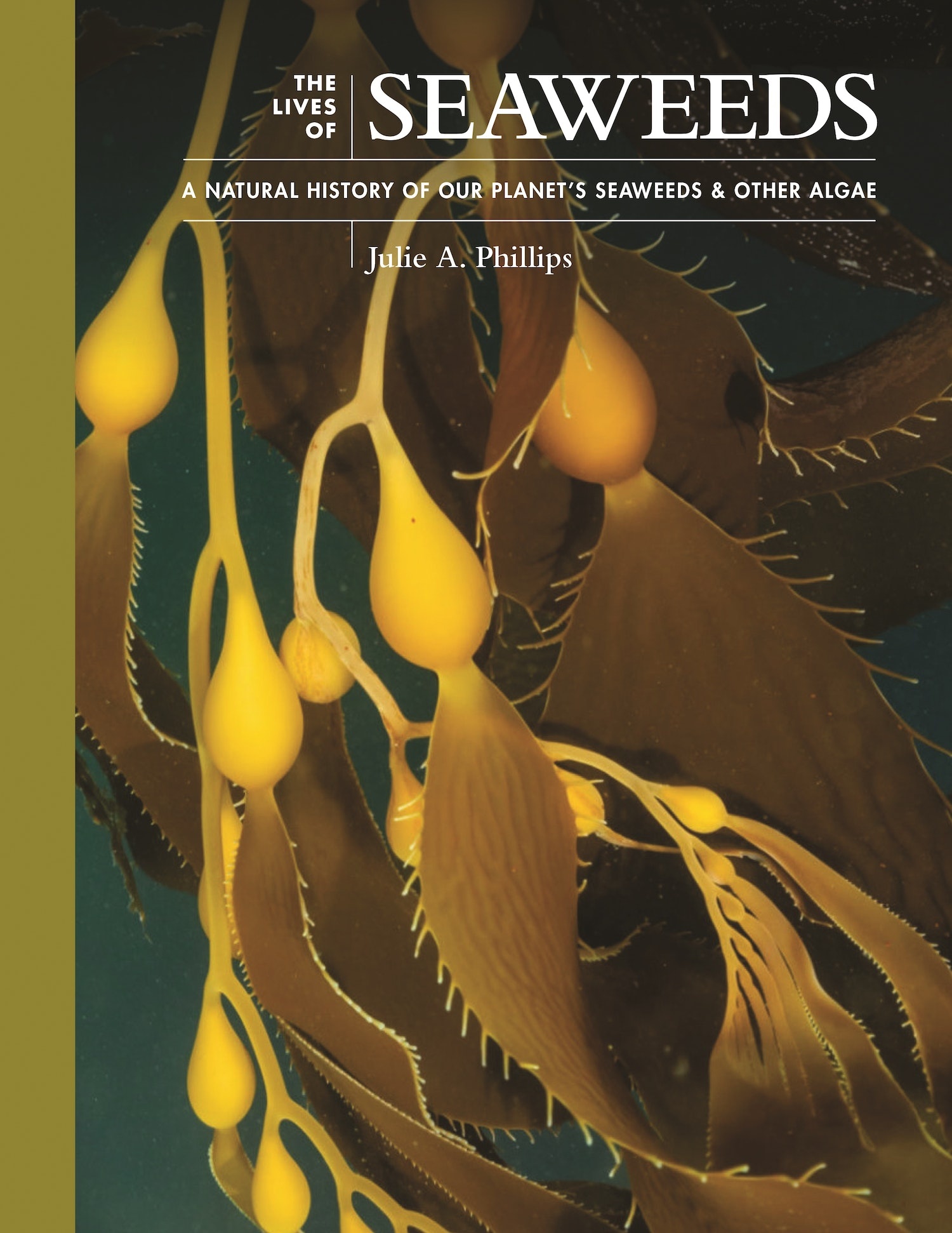The Lives of Seaweeds - A Natural History of Our Planet's Seaweeds and Other Algae