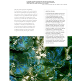 The Lives of Seaweeds - A Natural History of Our Planet's Seaweeds and Other Algae