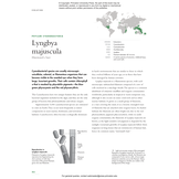 The Lives of Seaweeds - A Natural History of Our Planet's Seaweeds and Other Algae