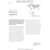 The Lives of Seaweeds - A Natural History of Our Planet's Seaweeds and Other Algae