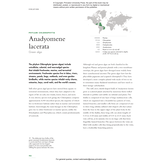 The Lives of Seaweeds - A Natural History of Our Planet's Seaweeds and Other Algae