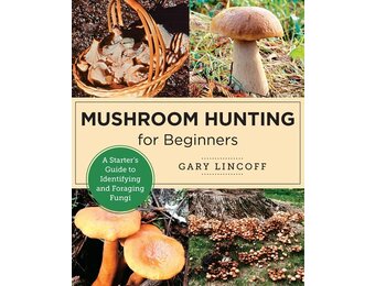 Mushroom Hunting for Beginners