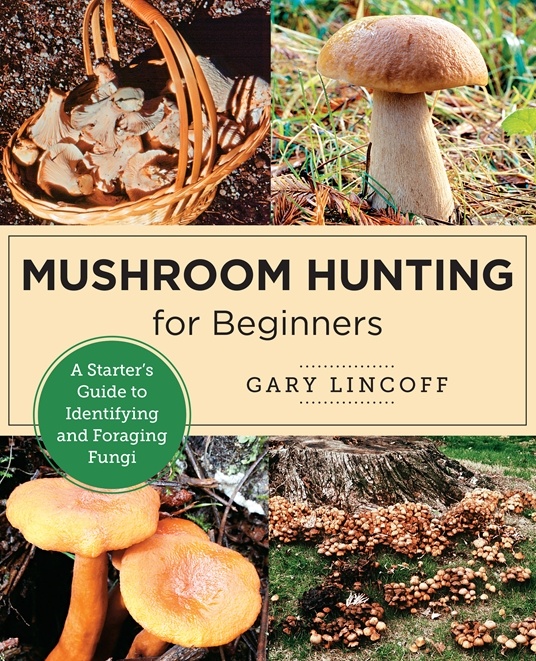 Mushroom Hunting for Beginners - A Starter's Guide to Identifying and Foraging Fungi