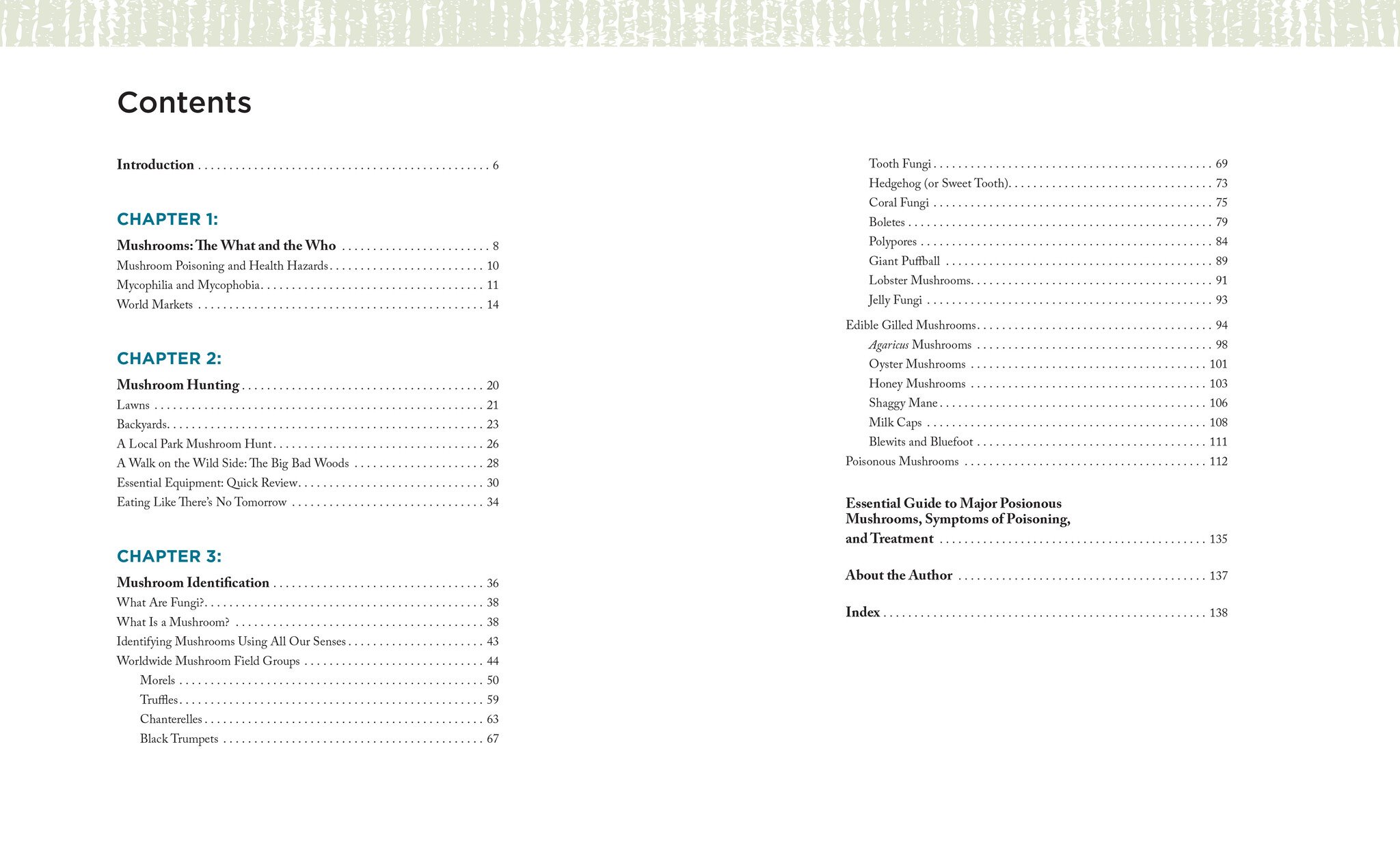 Mushroom Hunting for Beginners