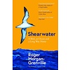 Shearwater