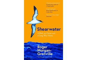 Shearwater