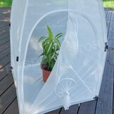 Bugdorm BD2E400 Insectenkweektent