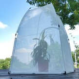 Bugdorm BD2E400 Insectenkweektent