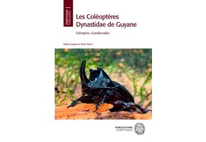 Les Coléoptères Dynastidae de Guyane