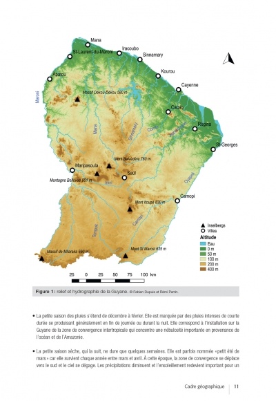 Les Coléoptères Dynastidae de Guyane - Coleoptera, Scarabaeoidea