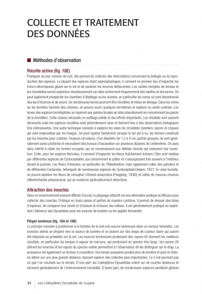 Les Coléoptères Dynastidae de Guyane - Coleoptera, Scarabaeoidea