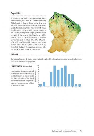 Les Coléoptères Dynastidae de Guyane - Coleoptera, Scarabaeoidea