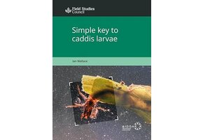 Simple Key to Caddis Larvae