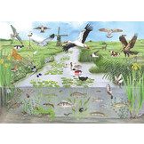 Puzzle Veenweide (1000 stück)