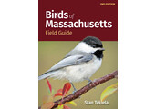 Birds of Massachusetts Field Guide