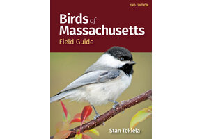 Birds of Massachusetts Field Guide