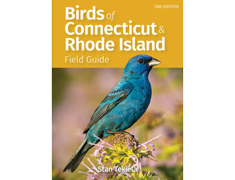 Birds of Connecticut & Rhode Island Field Guide