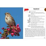 Birds of Connecticut & Rhode Island Field Guide