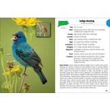 Birds of Connecticut & Rhode Island Field Guide